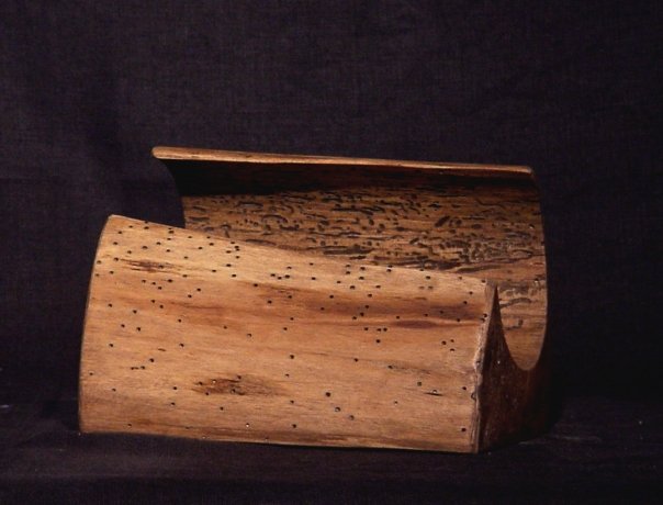 2007_seans-form.jpg
